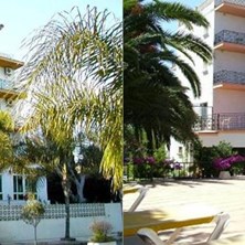 Hvor er det varmt i oktober Hvor er det varmt i oktober